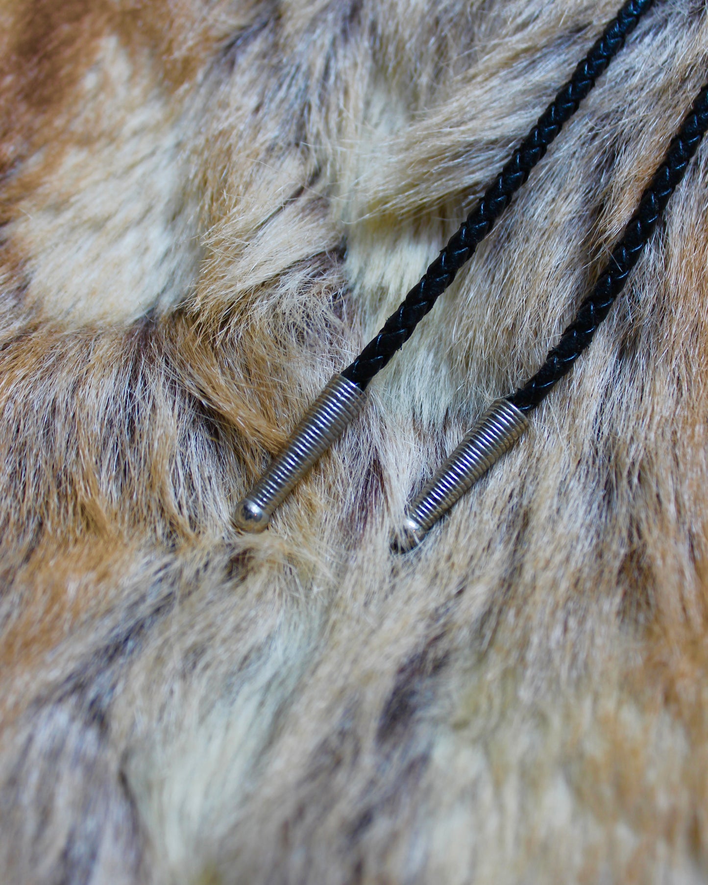 HOWLING COYOTE BOLO TIE