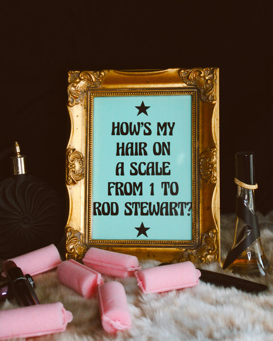 HOW’S MY HAIR ON A SCALE FROM 1 TO ROD STEWART? FRAMED ART